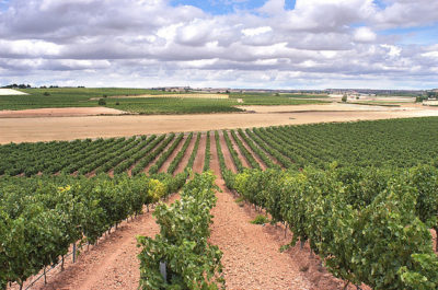 Vinmarker i Ribera del Duero