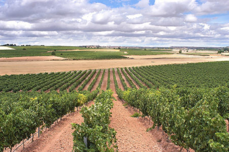 Vinmarker i Ribera del Duero