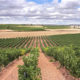 Vinmarker i Ribera del Duero