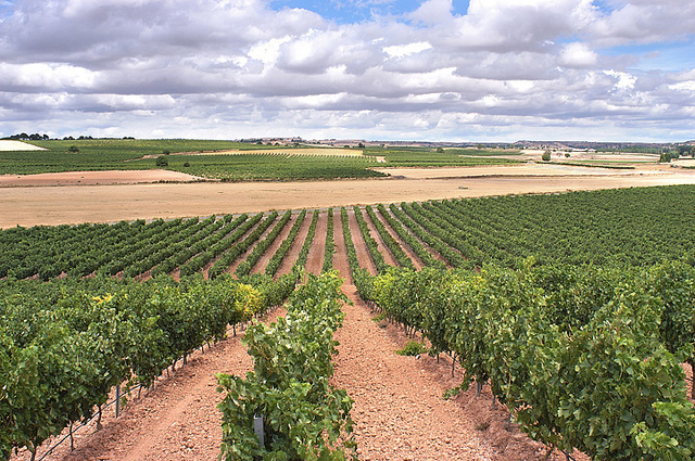 Vinmarker i Ribera del Duero