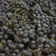 Amarone – julen bliver også sød og krydret i år