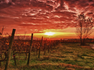 Riccardo-Palazzani-Italy-via-Visualhunt