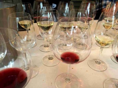 Lær med smagsløgene