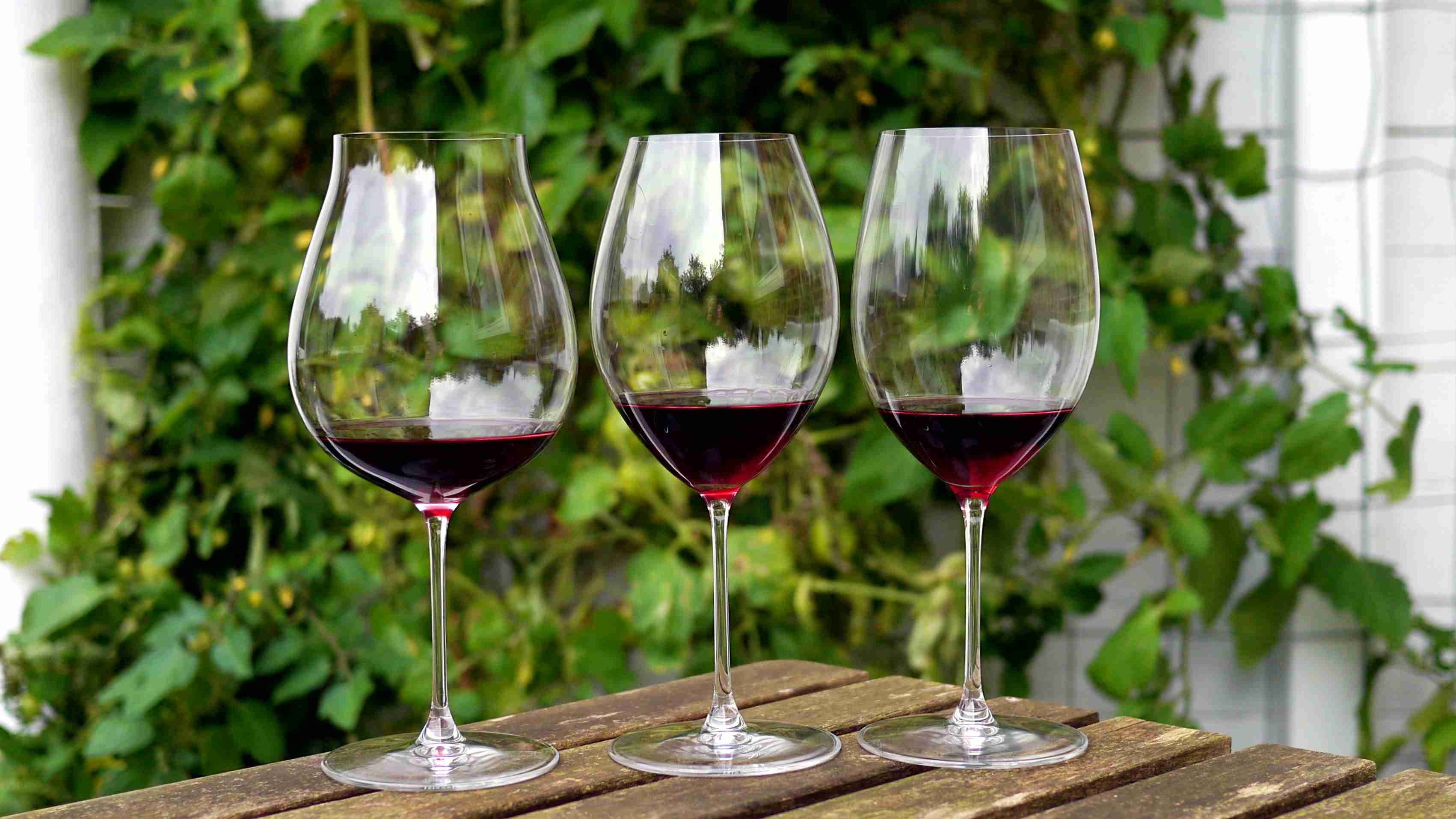 Det rigtige glas til den rigtige vin