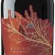 Fletris Appassimento Double Oak, Montemajor, 2017