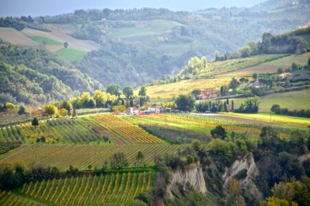 12 spørgsmål om italiensk vin