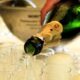 Champagne quiz